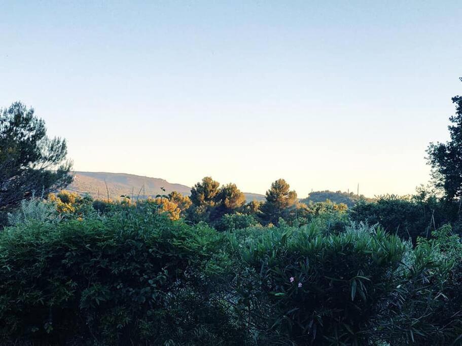 Entre Ventoux Et Luberon, Appartement Dans Maison. Malemort-du-Comtat Eksteriør billede