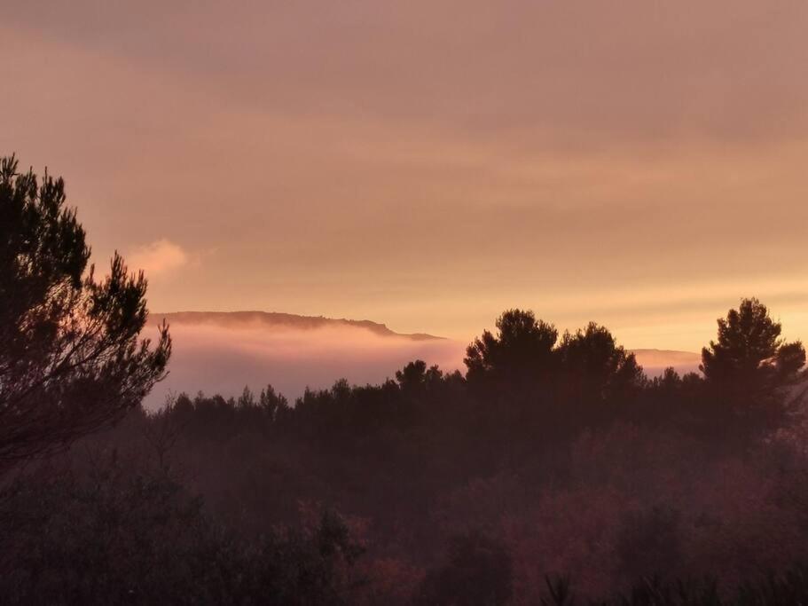 Entre Ventoux Et Luberon, Appartement Dans Maison. Malemort-du-Comtat Eksteriør billede
