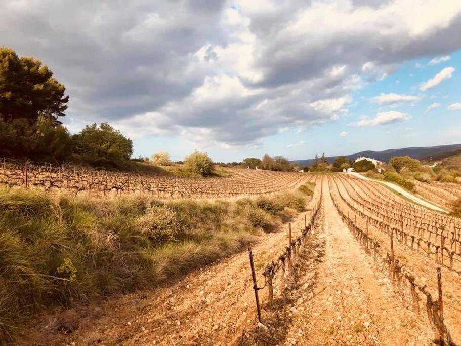 Entre Ventoux Et Luberon, Appartement Dans Maison. Malemort-du-Comtat Eksteriør billede