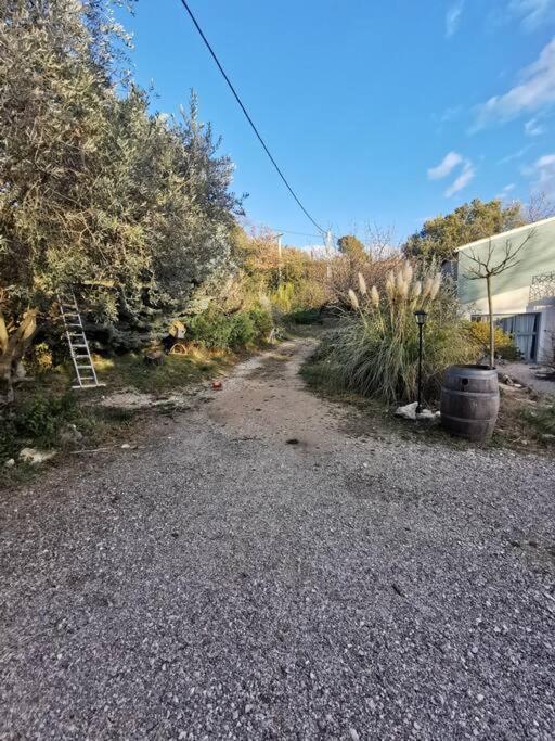 Entre Ventoux Et Luberon, Appartement Dans Maison. Malemort-du-Comtat Eksteriør billede