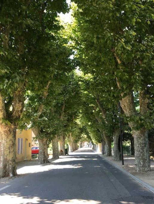 Entre Ventoux Et Luberon, Appartement Dans Maison. Malemort-du-Comtat Eksteriør billede